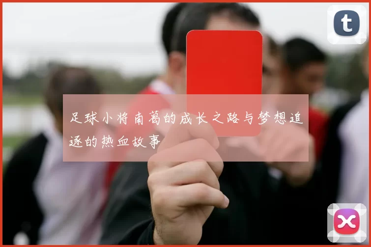 足球小将南葛的成长之路与梦想追逐的热血故事