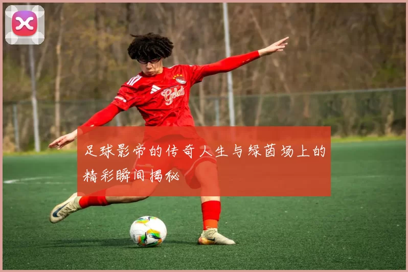 足球影帝的传奇人生与绿茵场上的精彩瞬间揭秘