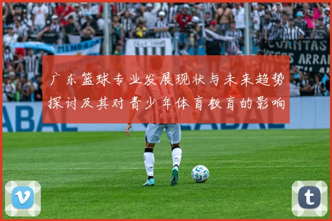 广东篮球专业发展现状与未来趋势探讨及其对青少年体育教育的影响